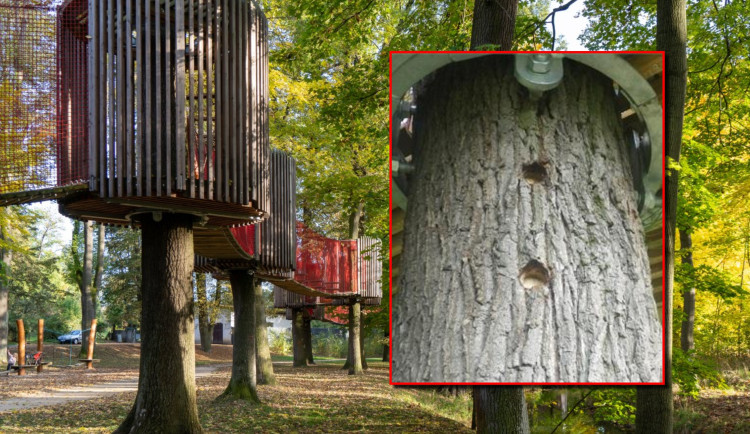 Za nepochopitelné navrtání šroubů do kmenů vzrostlých stromů v lanovém centru padla pokuta 100 tisíc korun