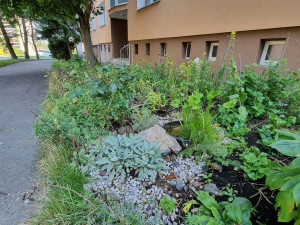 Lidé si mohou zažádat o podporu na zvelebení zahrádek u domů, obvod na akci vyčlenil 200 tisíc korun