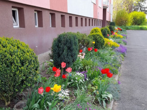 Lidé si mohou zažádat o podporu na zvelebení zahrádek u domů, obvod na akci vyčlenil 200 tisíc korun