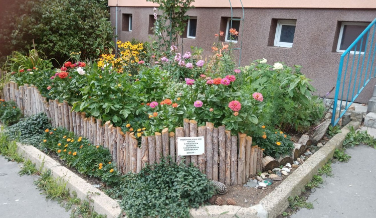 Lidé si mohou zažádat o podporu na zvelebení zahrádek u domů, obvod na akci vyčlenil 200 tisíc korun