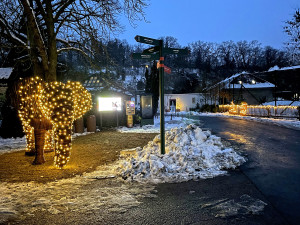 Zoo Plzeň získala svého prvního slona. Je absolutně nenáročný na chov a navíc i krásně svítí