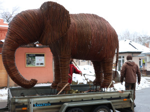 Závěrečná fáze transportu a instalace slona
