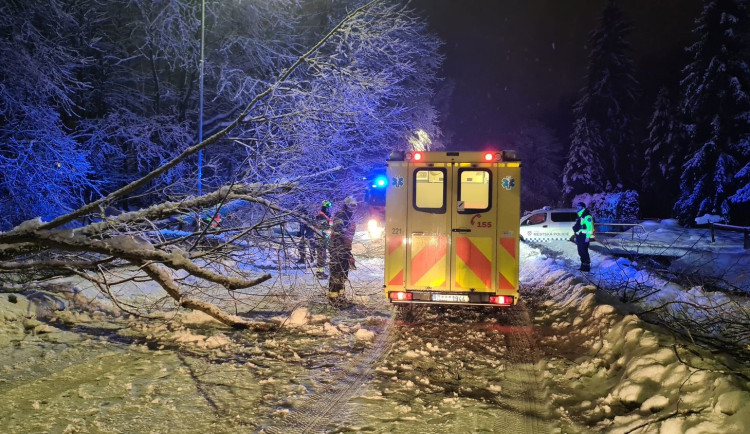 Na Šumavě může v noci napadnout až 40 cm sněhu. Silný vítr bude lámat a vyvracet stromy přetížené sněhovou nadílkou