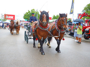 Rok 2024 se ponese na Výstavišti České Budějovice ve znamení 50. ročníku Země živitelky i dalších tradičních akcí