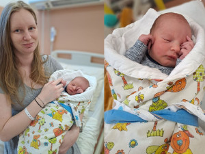 Loni se v porodnicích nemocnic zřizovaných Plzeňským krajem narodilo 1071 dětí. Letos se stal prvním miminkem Mikuláš