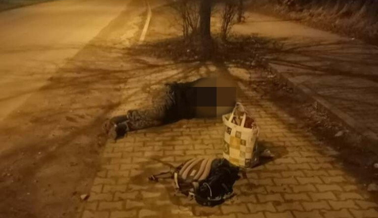 Strážníci se museli postarat o psa i jeho silně opilého páníčka, který ležel na chodníku