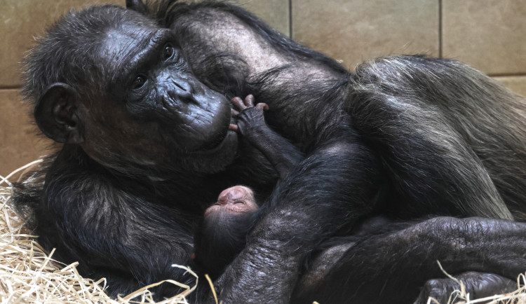 Matka Mária o svého potomka něžně pečuje
