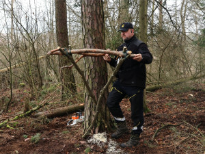 Vichřice strhla z koruny borovice velké orlí hnízdo. Experti teď na stejný strom instalovali novou hnízdní podložku