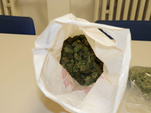 Další kvalitní nasušené konopí převážel muž v igelitce v kufru auta