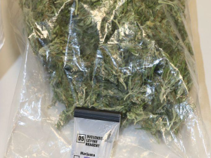 Další kvalitní nasušené konopí převážel muž v igelitce v kufru auta