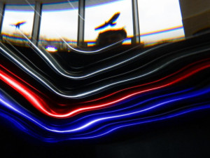 Fotografové poměří své dovednosti pod vodou, do bazénu se s technikou ponoří už podvacáté