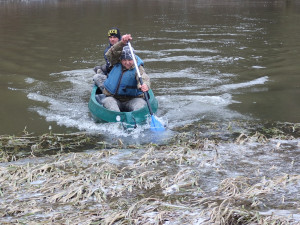 Ornitologové se rozdělili do několika skupin a na kánoích propluli po řece Berounce