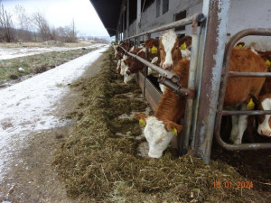 Veterináři provedli v pondělí v chovu mimořádnou kontrolu, vše ale bylo v pořádku.