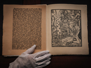 Knihovna před lety koupila dvě autorské knihy Josefa Váchala za pár stovek. Teď mají hodnotu v řádech milionů