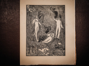 Knihovna před lety koupila dvě autorské knihy Josefa Váchala za pár stovek. Teď mají hodnotu v řádech milionů