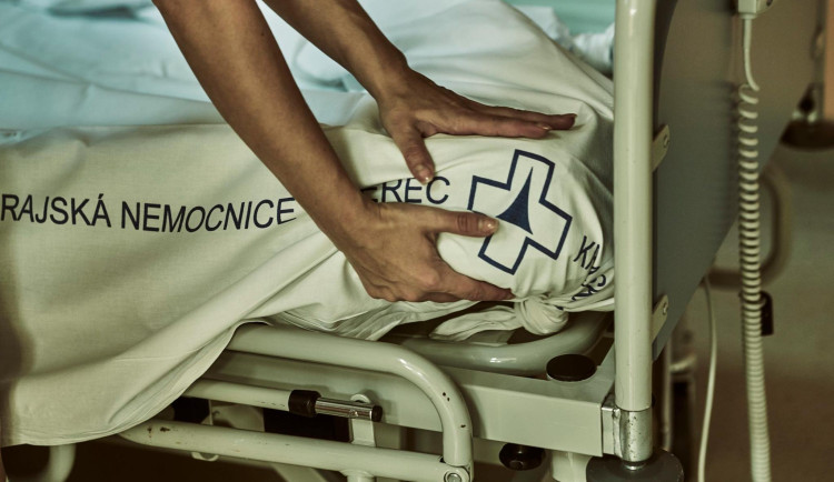 Záchytka v Liberci funguje od nového roku v nepřetržitém provozu