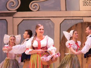 Plzeňské divadlo letos uvede všechny Smetanovy opery, diváci se mohou těšit také na slavný muzikál Dracula