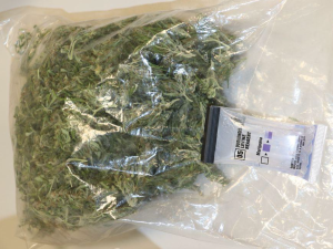 Drogový dealer prodal marihuanu nezletilým dětem ze základní školy ve více než šedesáti případech