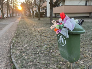 Takto ještě před nedávnou dobou vypadaly košíky na Slovanech, foto: Adéla Brožková