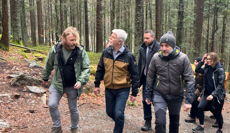 Prezident ve sportovním oblečení vyrazil ostrým tempem do kopce k výběhu se šumavskými vlky. Doprovod mu dělal ředitel NP Pavel Hubený a hejtman Rudolf Špoták