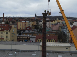 Netradiční den pracovníků hobbymarketu, rekonstruovali staré hnízdo čápů na 24 metrů vysokém komíně