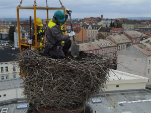 Netradiční den pracovníků hobbymarketu, rekonstruovali staré hnízdo čápů na 24 metrů vysokém komíně