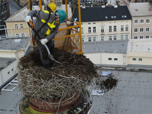Netradiční den pracovníků hobbymarketu, rekonstruovali staré hnízdo čápů na 24 metrů vysokém komíně