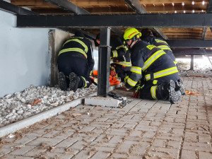 Zoufalé mňoukání kotěte se z trubky ozývalo několik dní, zvířete se po vyproštění ujal jeden z hasičů