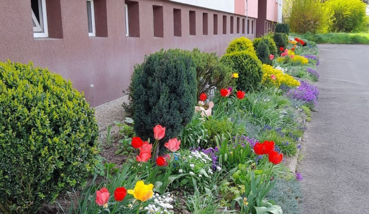 Obvod rozdělí šest milionů korun mezi zájmové spolky, sportovce a nově podpoří i zahrádkáře