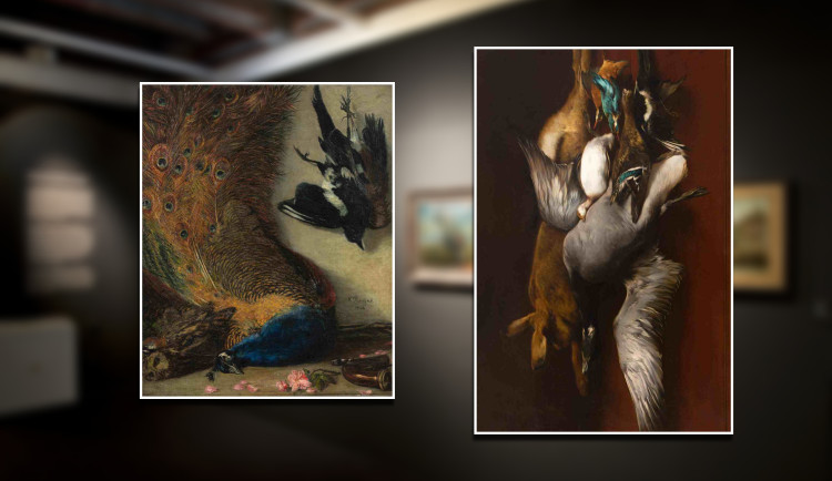 Dva výjimečné obrazy za 4,5 milionu korun koupila Západočeská galerie, jde o zátiší z 19. století
