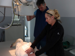 Vyšetření nemocné labutě na plzeňské veterinární klinice