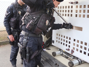 VIDEO: Zraněný jezevec se zatoulal do skateparku, naháněli ho strážníci spolu s hasiči