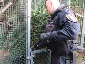VIDEO: Zraněný jezevec se zatoulal do skateparku, naháněli ho strážníci spolu s hasiči