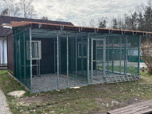 Kromě psů a koček se musí v útulku postarat také o papoušky nebo želvy, vzniká tam proto nový pavilon