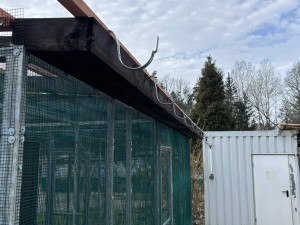 Kromě psů a koček se musí v útulku postarat také o papoušky nebo želvy, vzniká tam proto nový pavilon