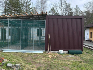 Kromě psů a koček se musí v útulku postarat také o papoušky nebo želvy, vzniká tam proto nový pavilon