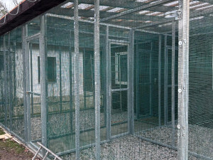 Kromě psů a koček se musí v útulku postarat také o papoušky nebo želvy, vzniká tam proto nový pavilon