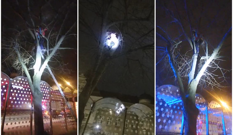 VIDEO: Vyděšený muž se skrýval na stromě, bál se povodní. Slezte, je tu sucho, ujišťovali ho strážníci