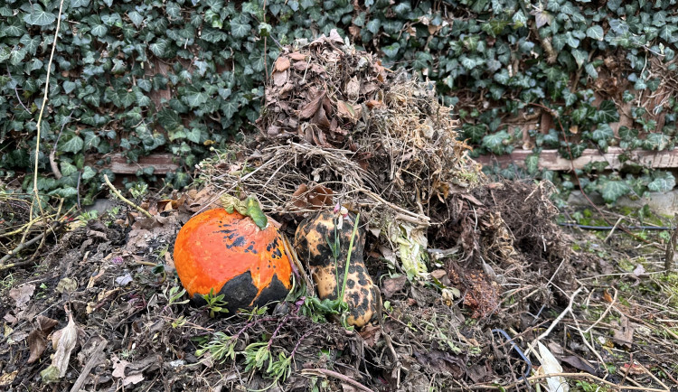 Takový materiál by měl v budoucnu končit na městské kompostárně