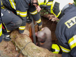 Senior uvízl v hluboké studni a byl po prsa v ledové vodě, vysvobodit ho museli hasiči