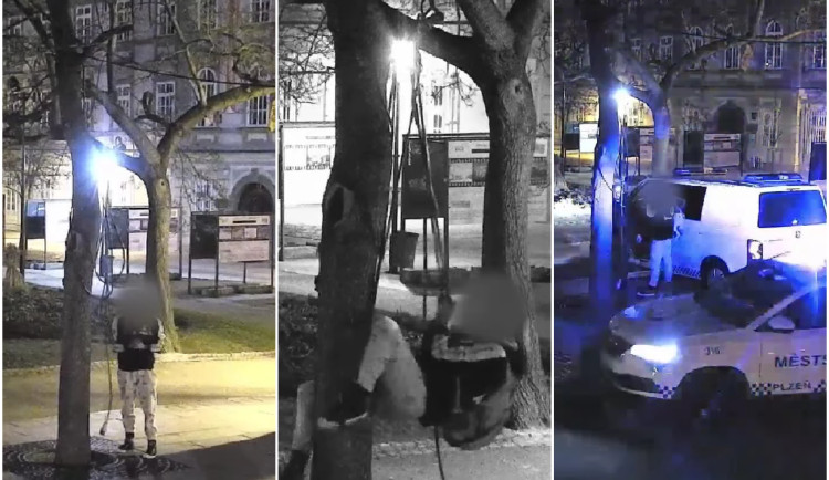 VIDEO: Zloděj se houpal jako Tarzan na prodlužovačce, jeho prohru s kabelem zachytila kamera v sadovém okruhu