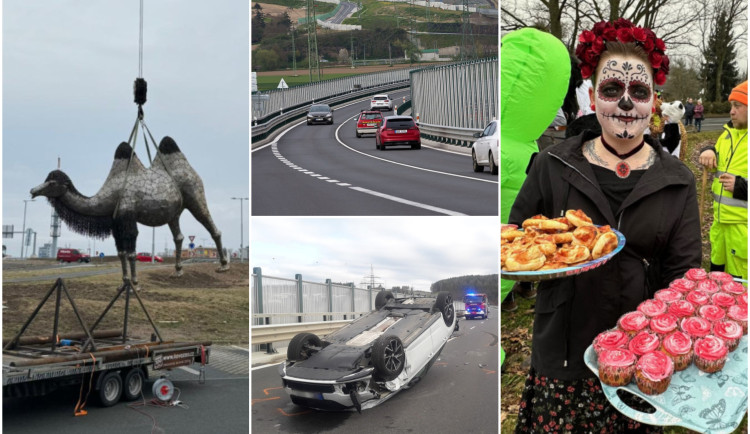 ÚNOR 2024: Socha velbloudice, likvidace squatu i masopustní veselí