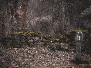 Nejděsivější událost v historii staré Šumavy se stala na Kozích Hřbetech. Zimu tam nepřežily desítky horalů