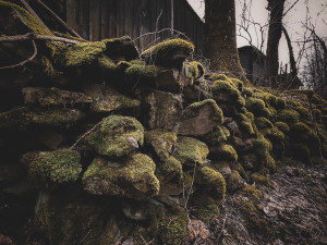 Nejděsivější událost v historii staré Šumavy se stala na Kozích Hřbetech. Zimu tam nepřežily desítky horalů