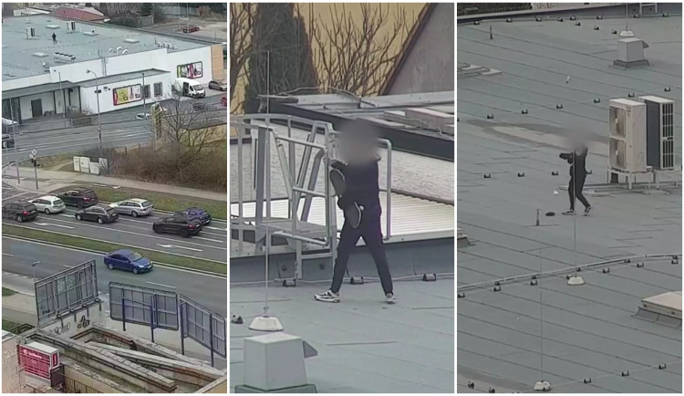 dováděl na střeše