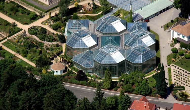 Tři skleníky v botanické zahradě projdou přes léto obnovou