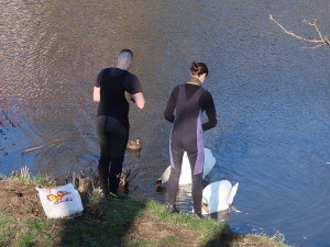 Příprava na odchyt