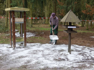 Dezinfekce krmítek a jejich okolí v Borském parku