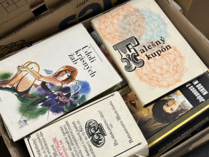 Díky sbírce Daruj knihu se podařilo vybrat pro azylový 3200 svazků, nejvíc v historii akce