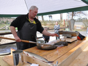 Městské sádky nabídnou velikonoční prodej ryb, podle tradic se ryba servírovala jako postní jídlo